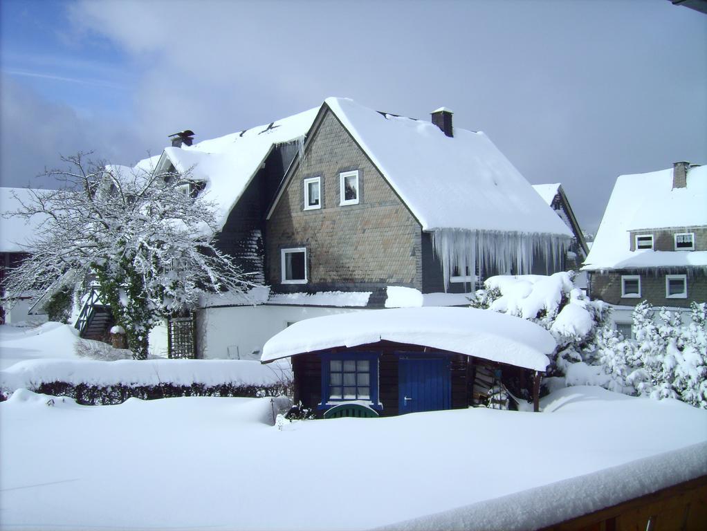 Ferienwohnung Boerner Winterberg Zewnętrze zdjęcie